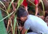 CEIs e Escolas Municipais de Sombrio Ganham Muda de Citronela em Ação para Combate à Dengue