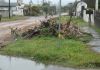 Denúncia: corte de árvores no bairro Lagoão gera indignação em morador de Araranguá