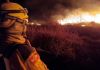 Queimadas no Pantanal: bombeiros de Santa Catarina completam cinco dias de combate às chamas