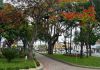 Praça Hercílio Luz e Jardim Alcebíades Seara