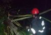 Bombeiros cortam Eucalipto que caiu em cima de residência em Sombrio