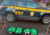 PRF apreende drogas e captura foragido da Justiça em Chapecó