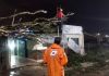 Defesa Civil e Corpo de Bombeiros realizam remoção de árvore