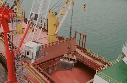 Resultados do tarifaço: setor da madeira é o mais afetado nas exportações de SC