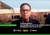 Comentário de Elias Pavani (VIDEO)