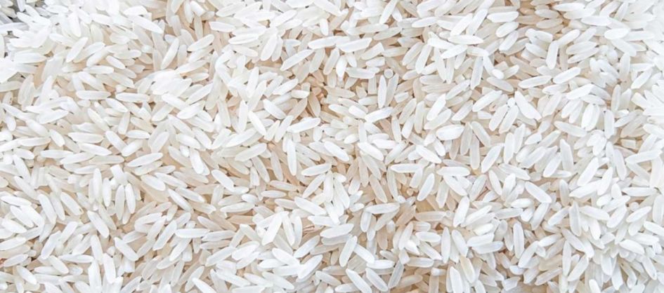 Crise no setor orizícola: medidas do Governo Federal são ...