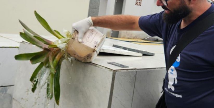 Combate à Dengue em Araranguá: inspeção pós-Finados nos cemitérios