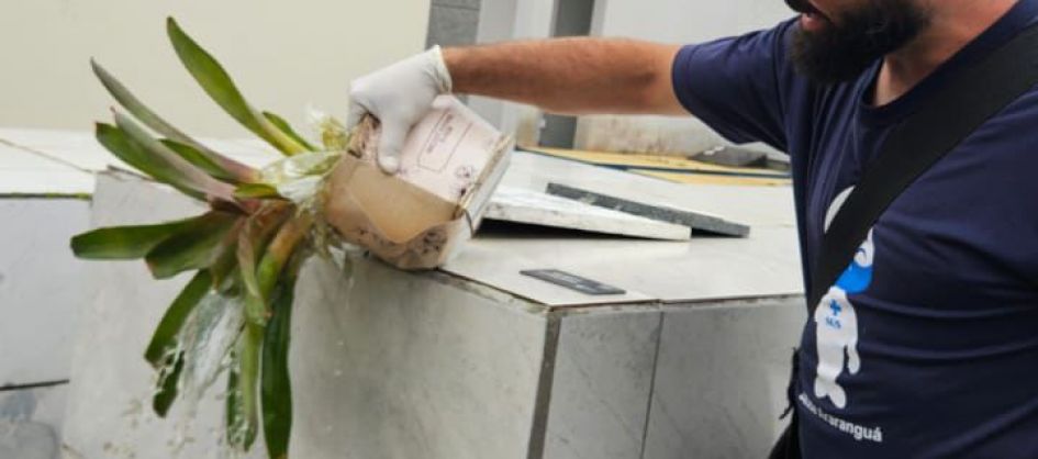 Combate à Dengue em Araranguá: inspeção pós-Finados no...