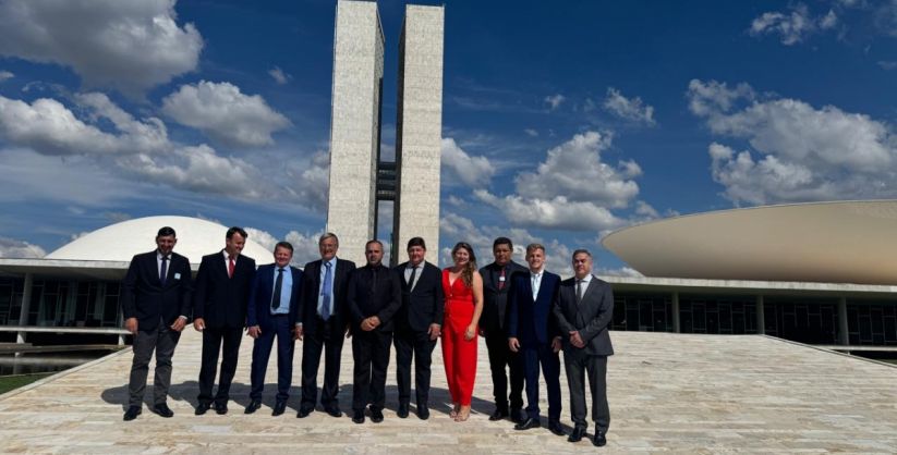 Prefeito de Ermo, Paulinho Della Vecchia, cumpre agenda em Brasília ao lado de vereadores e lideranças do município em busca de novos recursos