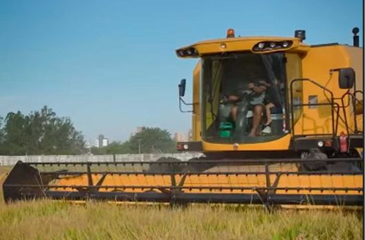Crise do arroz e do leite será debatida em audiência pública em Araranguá