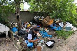 Janeiro Amarelo: mês de conscientização e combate à dengue