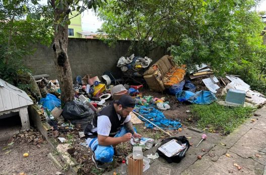 Janeiro Amarelo: mês de conscientização e combate à dengue