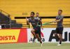 TIGRE & CLINIIMAGEM: Diagnóstico por imagem se torna peça-chave na performance esportiva