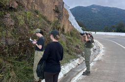 Pesquisadoras da UNESC realizam estudo sobre biodiversidade na Serra da Rocinha
