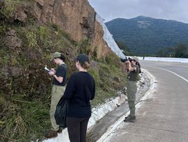 Pesquisadoras da UNESC realizam estudo sobre biodiversidade na Serra da Rocinha