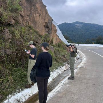 Pesquisadoras da UNESC realizam estudo sobre biodiversidade na Serra da Rocinha