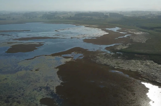 Lagoa do Caverá preocupa autoridades após redução no volume de água em Araranguá