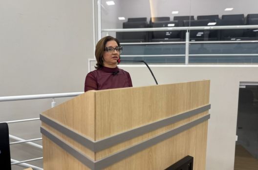 Sessão na Câmara de Arroio do Silva debate políticas de enfrentamento à violência con...