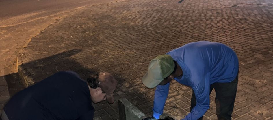 Prefeitura de Araranguá segue com ações preventivas dian...
