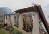Botijão de gás provoca incêndio em residência em Jacinto Machado