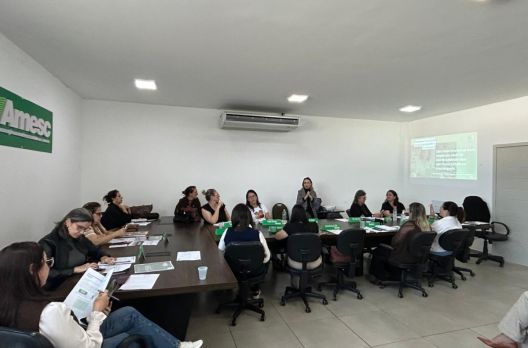 Colegiado Regional de Educação da AMESC reúne secretários para fortalecer ações