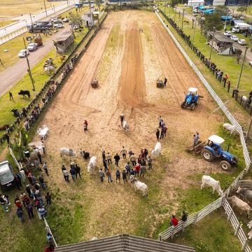 2ª Festa do Carro de Boi celebra tradição e cultura rural em São João do Sul