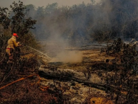Super El Niño pode provocar 451 mil mortes por calor extremo no mundo, estima estudo