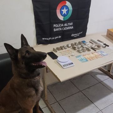 Traficante é preso com maconha e ecstasy em Sombrio