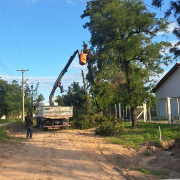 Defesa Civil inicia poda preventiva em Araranguá