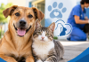 Sombrio mantém inscrições abertas para programa de castração gratuita de cães