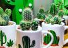 Art Soul | Vem aí exposição de terrários e mini jardins no Center Shopping   