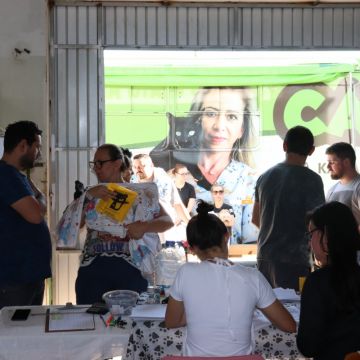 Mutirão de Castração em Araranguá