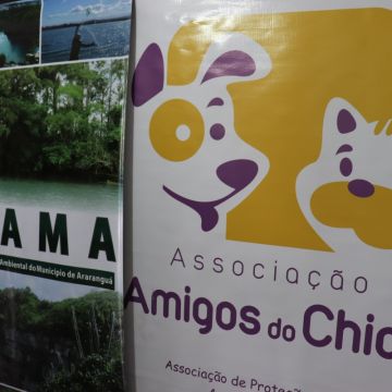 Mutirão de Castração em Araranguá