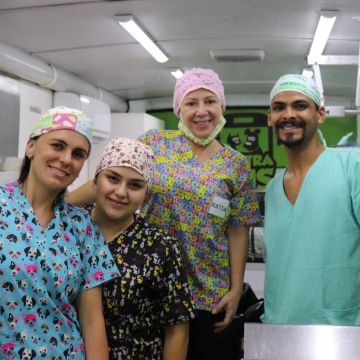 Mutirão de Castração em Araranguá