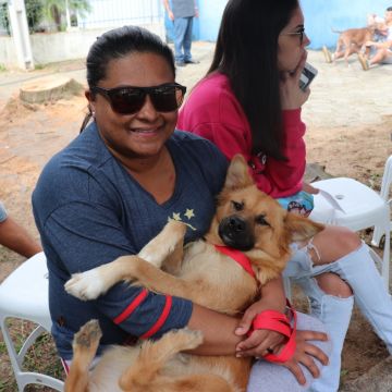 Mutirão de Castração em Araranguá