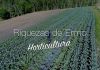 Riquezas de Ermo: Horticultura
