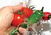 Prefeitura promove curso gratuito de Boas Práticas em Manipulação de Alimentos