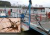 Balsa do Rio Araranguá é alvo de polêmica por conta de 'chuva de aranhas'