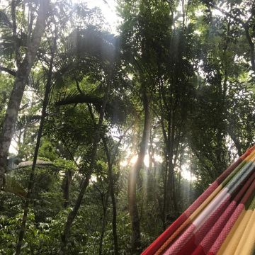 Chalé Container em meio à natureza, é no Sítio Raízes!