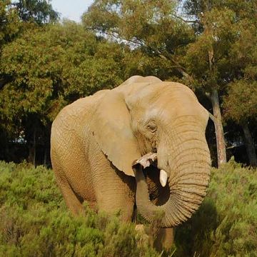 Grupo Tahiti Viagens África do Sul