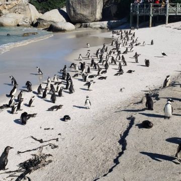 Grupo Tahiti Viagens África do Sul