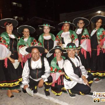 Desfile da Escola Unidos do Arroio e blocos reúne multidão 