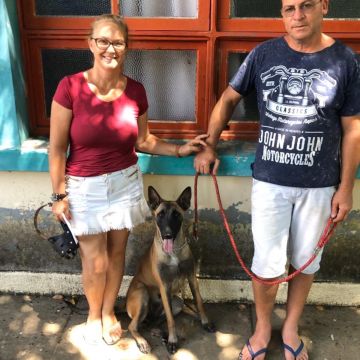 Primeiro mutirão de castração do ano com bons resultados