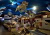 Museu de Zoologia da Unesc prepara experiência virtual e gratuita para a comunidade