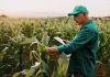 Plano Safra 2020/2021 oferece taxas reduzidas para o custeio agrícola