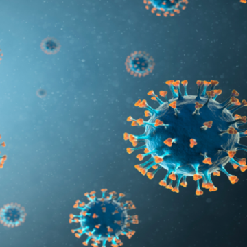 Covid-19: OMS prevê que pandemia durará muito tempo