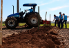 Cooperja investe em arborização de seu Campo Demonstrativo