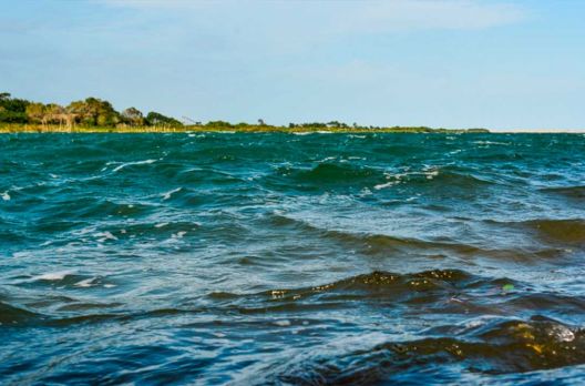 O mundo por uma lente - Rio Araranguá