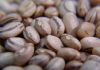 Boletim Agropecuário de fevereiro revela bons preços pagos aos produtores de feijão e soja