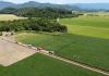 Dia de campo destaca manejo da soja em parceria com a Cooperja